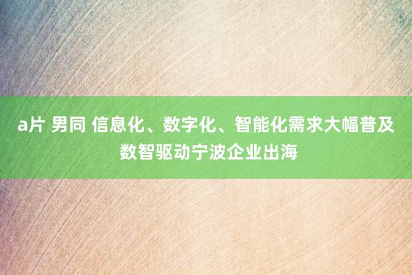 a片 男同 信息化、数字化、智能化需求大幅普及 数智驱动宁波企业出海