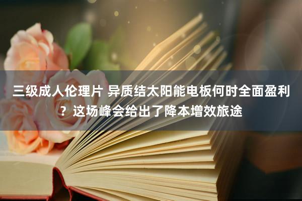 三级成人伦理片 异质结太阳能电板何时全面盈利？这场峰会给出了降本增效旅途