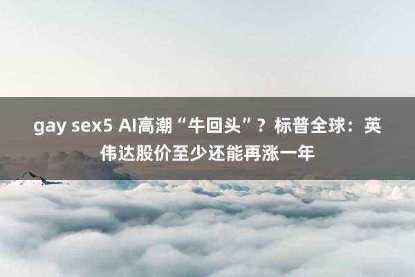 gay sex5 AI高潮“牛回头”？标普全球：英伟达股价至少还能再涨一年