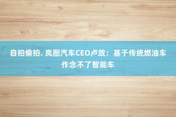 自拍偷拍. 岚图汽车CEO卢放：基于传统燃油车作念不了智能车