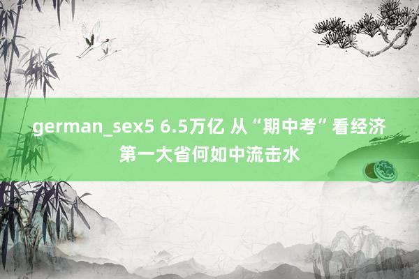 german_sex5 6.5万亿 从“期中考”看经济第一大省何如中流击水