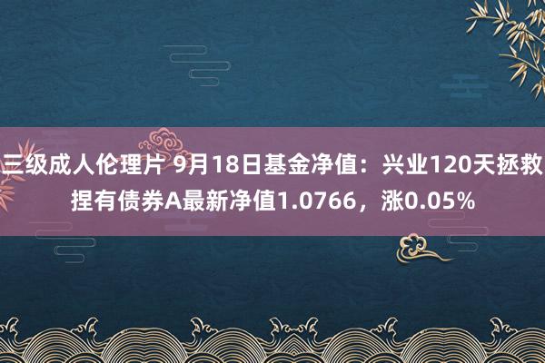 三级成人伦理片 9月18日基金净值：兴业120天拯救捏有债券A最新净值1.0766，涨0.05%