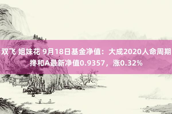 双飞 姐妹花 9月18日基金净值：大成2020人命周期搀和A最新净值0.9357，涨0.32%