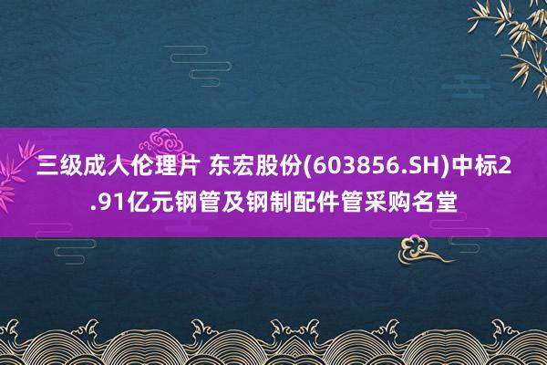 三级成人伦理片 东宏股份(603856.SH)中标2.91亿元钢管及钢制配件管采购名堂