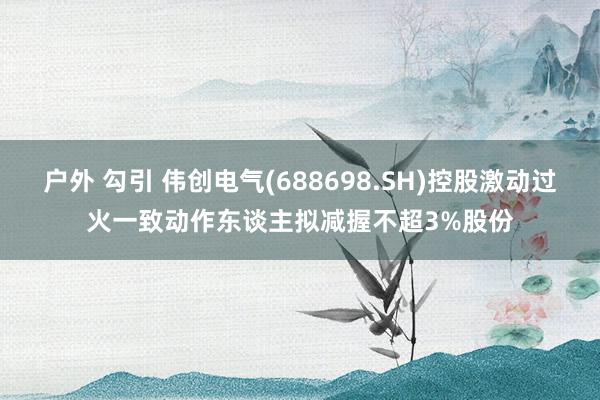 户外 勾引 伟创电气(688698.SH)控股激动过火一致动作东谈主拟减握不超3%股份