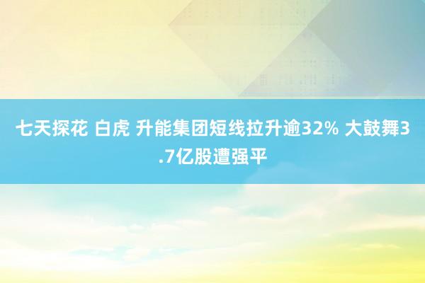 七天探花 白虎 升能集团短线拉升逾32% 大鼓舞3.7亿股遭强平