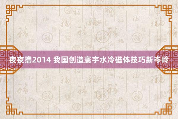 夜夜撸2014 我国创造寰宇水冷磁体技巧新岑岭