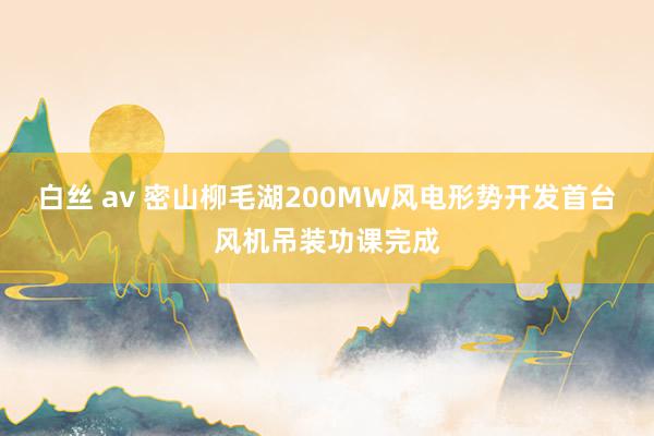 白丝 av 密山柳毛湖200MW风电形势开发首台风机吊装功课完成