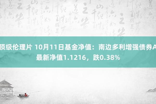 顶级伦理片 10月11日基金净值：南边多利增强债券A最新净值1.1216，跌0.38%