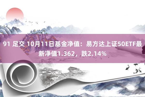 91 足交 10月11日基金净值：易方达上证50ETF最新净值1.362，跌2.14%