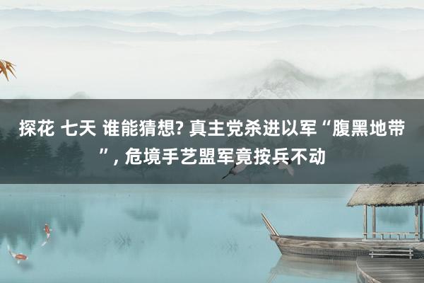 探花 七天 谁能猜想? 真主党杀进以军“腹黑地带”， 危境手艺盟军竟按兵不动