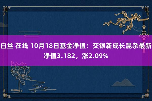 白丝 在线 10月18日基金净值：交银新成长混杂最新净值3.182，涨2.09%