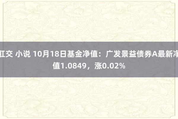 肛交 小说 10月18日基金净值：广发景益债券A最新净值1.0849，涨0.02%