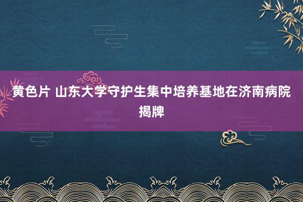 黄色片 山东大学守护生集中培养基地在济南病院揭牌