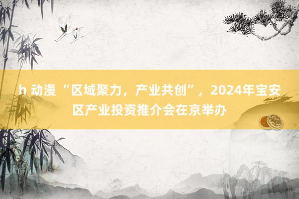 h 动漫 “区域聚力，产业共创”，2024年宝安区产业投资推介会在京举办