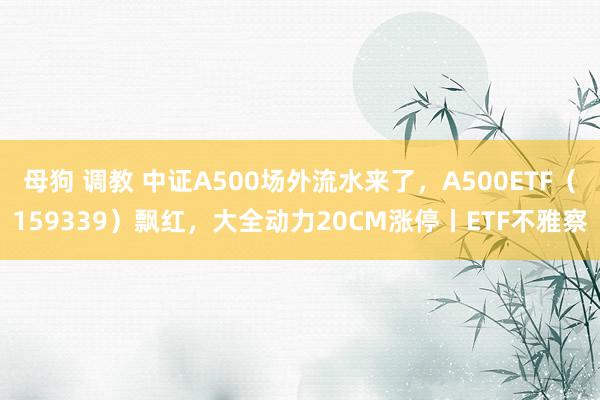 母狗 调教 中证A500场外流水来了，A500ETF（159339）飘红，大全动力20CM涨停丨ETF不雅察