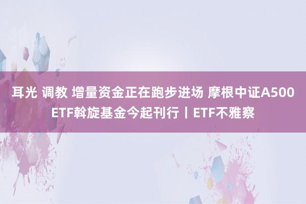 耳光 调教 增量资金正在跑步进场 摩根中证A500ETF斡旋基金今起刊行丨ETF不雅察