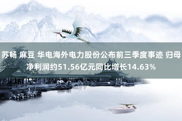 苏畅 麻豆 华电海外电力股份公布前三季度事迹 归母净利润约51.56亿元同比增长14.63%