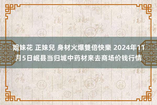 姐妹花 正妹兒 身材火爆雙倍快樂 2024年11月5日岷县当归城中药材来去商场价钱行情