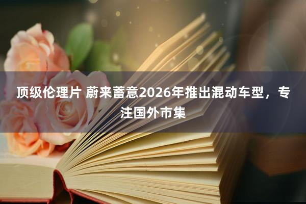 顶级伦理片 蔚来蓄意2026年推出混动车型，专注国外市集