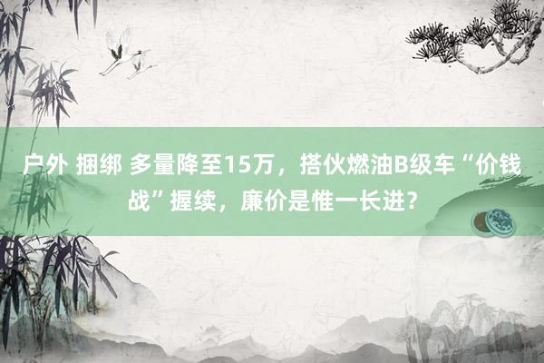 户外 捆绑 多量降至15万，搭伙燃油B级车“价钱战”握续，廉价是惟一长进？