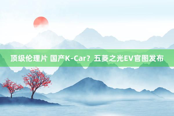 顶级伦理片 国产K-Car？五菱之光EV官图发布