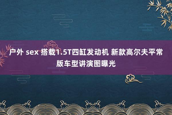 户外 sex 搭载1.5T四缸发动机 新款高尔夫平常版车型讲演图曝光