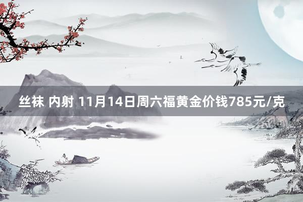 丝袜 内射 11月14日周六福黄金价钱785元/克