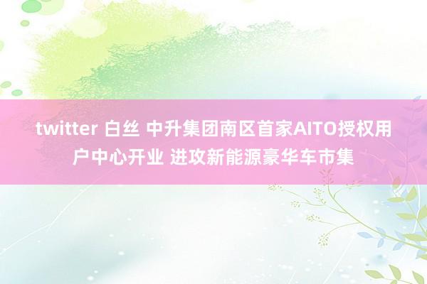 twitter 白丝 中升集团南区首家AITO授权用户中心开业 进攻新能源豪华车市集