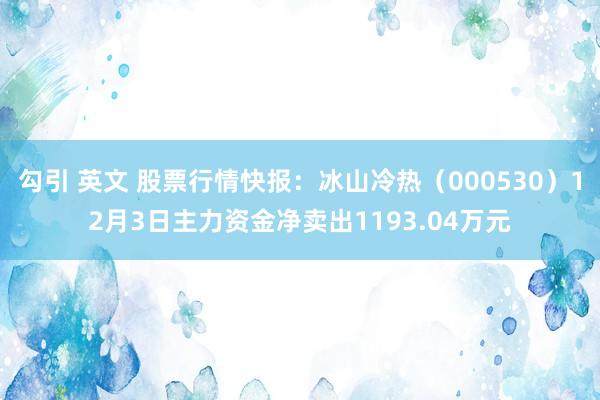 勾引 英文 股票行情快报：冰山冷热（000530）12月3日主力资金净卖出1193.04万元