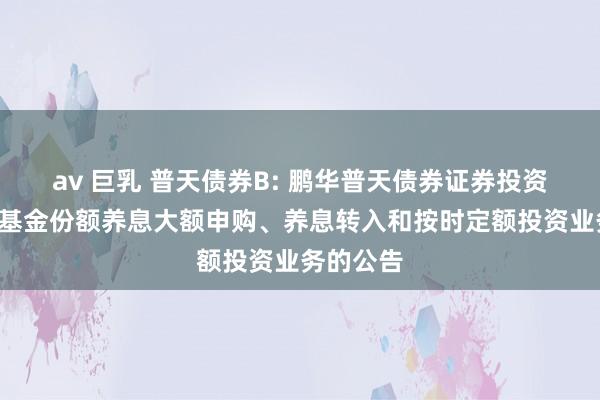 av 巨乳 普天债券B: 鹏华普天债券证券投资基金B类基金份额养息大额申购、养息转入和按时定额投资业务的公告