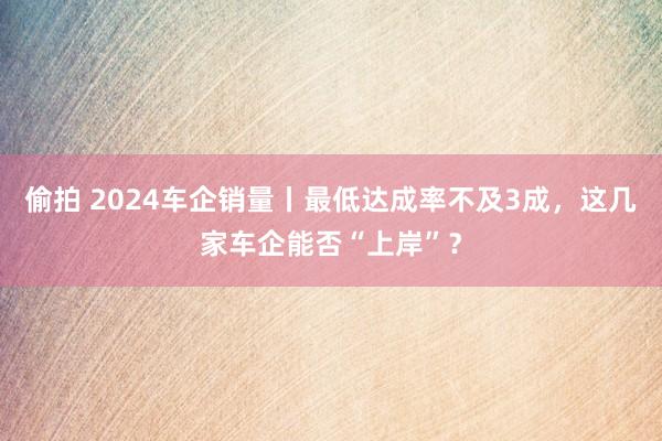 偷拍 2024车企销量丨最低达成率不及3成，这几家车企能否“上岸”？