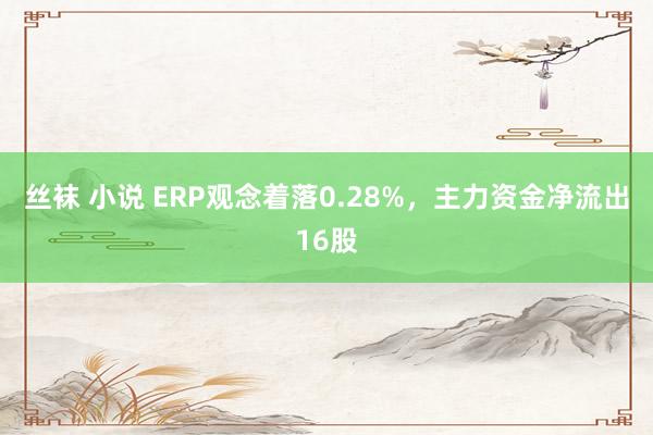 丝袜 小说 ERP观念着落0.28%，主力资金净流出16股