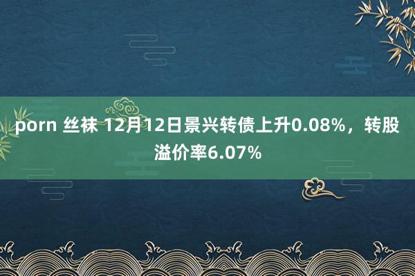 porn 丝袜 12月12日景兴转债上升0.08%，转股溢价率6.07%