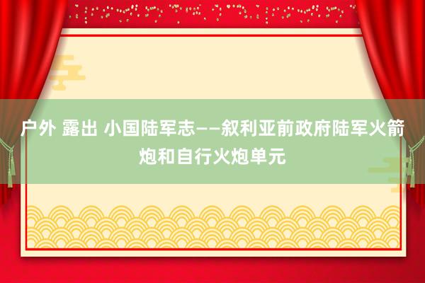 户外 露出 小国陆军志——叙利亚前政府陆军火箭炮和自行火炮单元