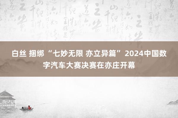 白丝 捆绑 “七妙无限 亦立异篇” 2024中国数字汽车大赛决赛在亦庄开幕