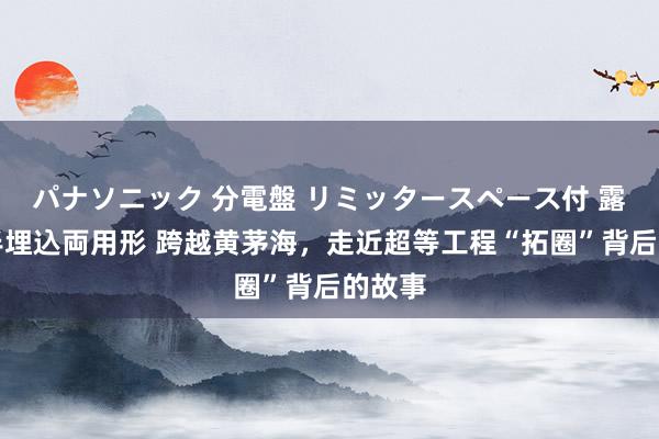 パナソニック 分電盤 リミッタースペース付 露出・半埋込両用形 跨越黄茅海，走近超等工程“拓圈”背后的故事