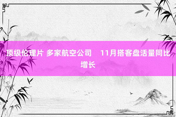 顶级伦理片 多家航空公司    11月搭客盘活量同比增长