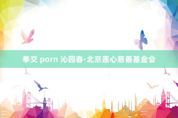 拳交 porn 沁园春·北京莲心慈善基金会