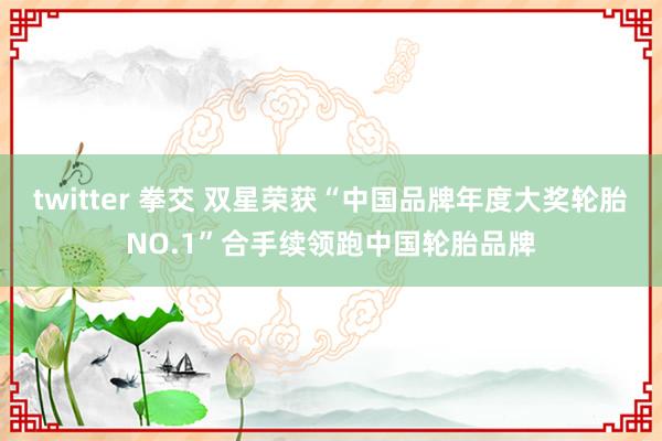 twitter 拳交 双星荣获“中国品牌年度大奖轮胎NO.1”合手续领跑中国轮胎品牌