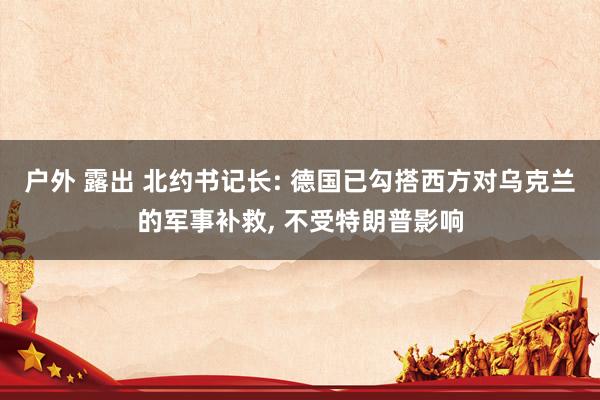 户外 露出 北约书记长: 德国已勾搭西方对乌克兰的军事补救， 不受特朗普影响