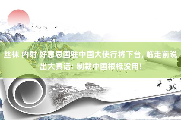 丝袜 内射 好意思国驻中国大使行将下台， 临走前说出大真话: 制裁中国根柢没用!