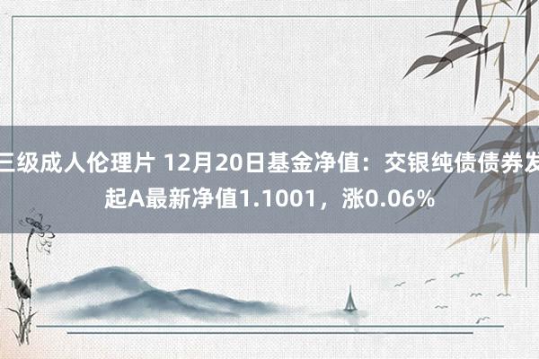 三级成人伦理片 12月20日基金净值：交银纯债债券发起A最新净值1.1001，涨0.06%