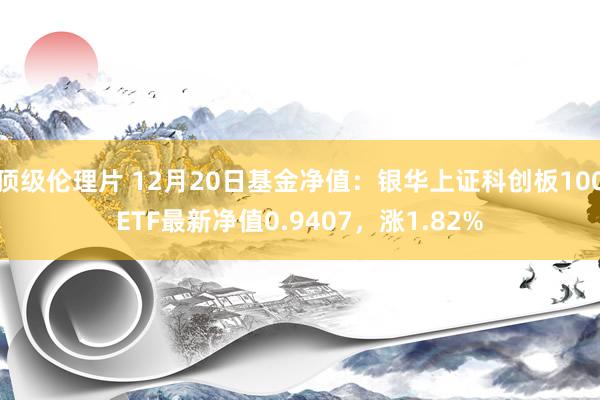 顶级伦理片 12月20日基金净值：银华上证科创板100ETF最新净值0.9407，涨1.82%