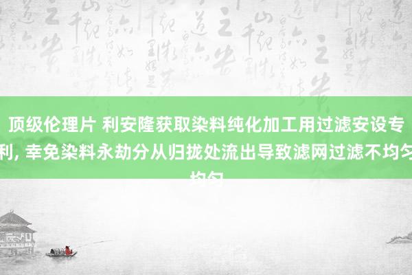 顶级伦理片 利安隆获取染料纯化加工用过滤安设专利， 幸免染料永劫分从归拢处流出导致滤网过滤不均匀