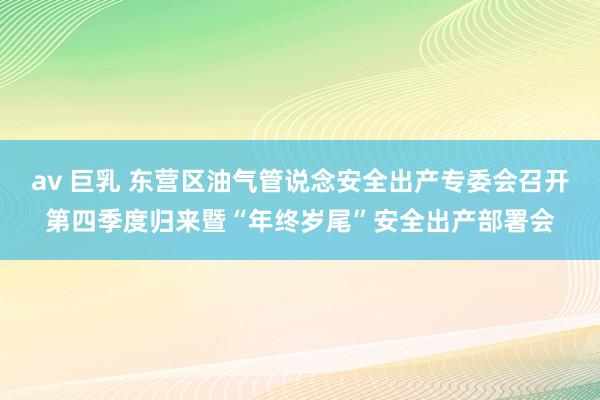 av 巨乳 东营区油气管说念安全出产专委会召开第四季度归来暨“年终岁尾”安全出产部署会