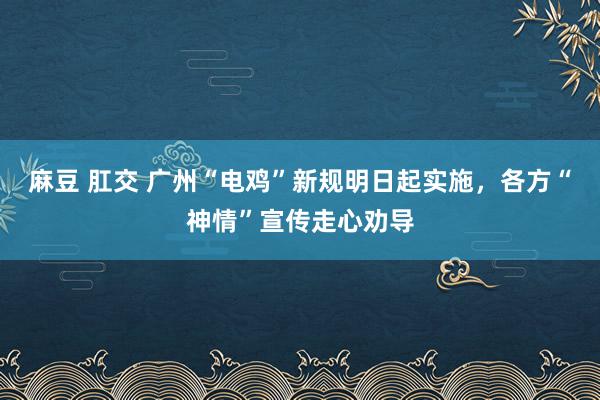 麻豆 肛交 广州“电鸡”新规明日起实施，各方“神情”宣传走心劝导