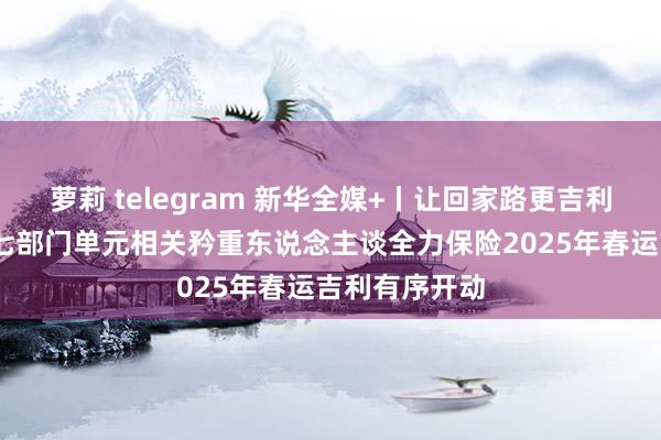 萝莉 telegram 新华全媒+丨让回家路更吉利、更凯旋——七部门单元相关矜重东说念主谈全力保险2025年春运吉利有序开动