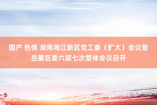 国产 色情 湖南湘江新区党工委（扩大）会议暨岳麓区委六届七次整体会议召开