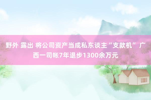 野外 露出 将公司资产当成私东谈主“支款机” 广西一司帐7年退步1300余万元